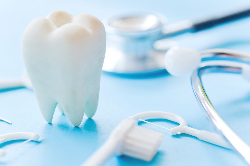 Dental model and equipment