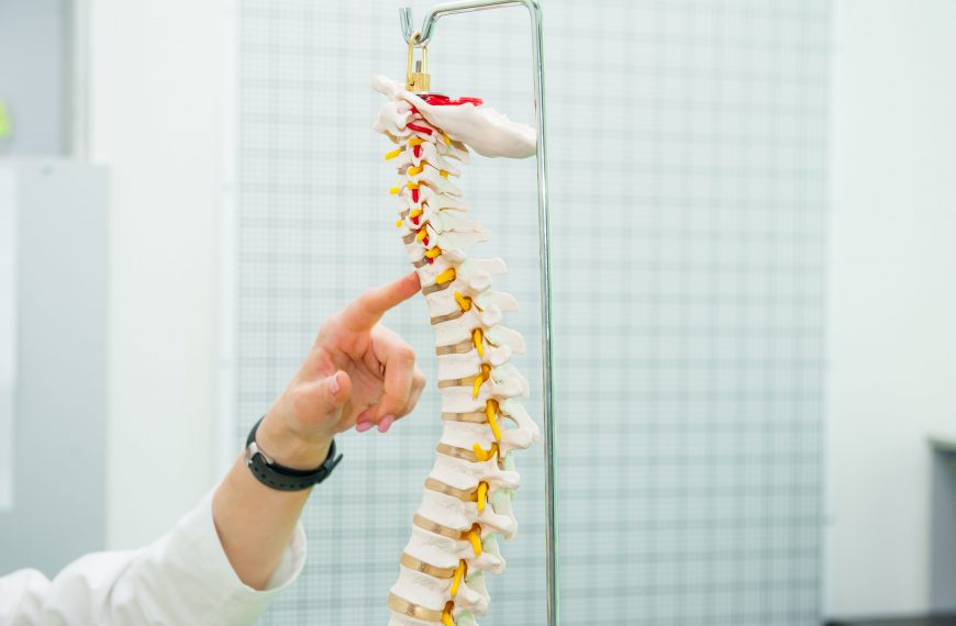 Finding the Right Chiropractor in Tacoma, WA for Pain Relief and Spinal Health