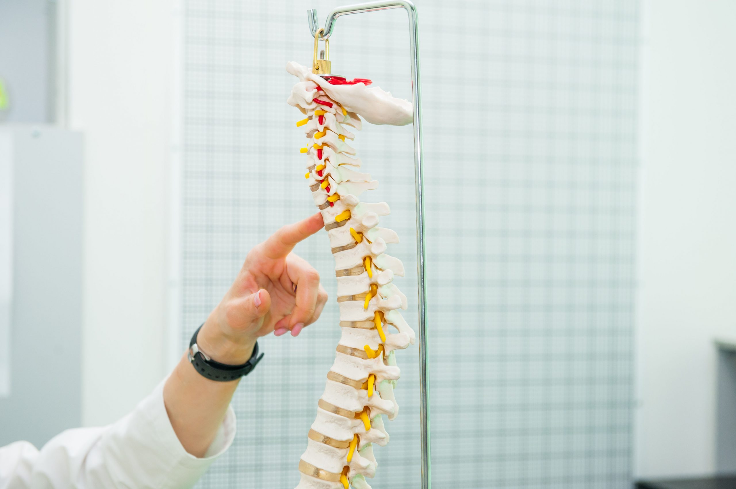 Finding the Right Chiropractor in Tacoma, WA for Pain Relief and Spinal Health