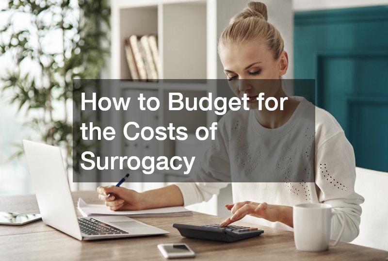 How to Budget for the Costs of Surrogacy